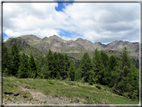 foto Malga Val Cion